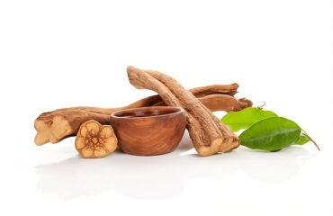 Ayahuasca cuttings and cup