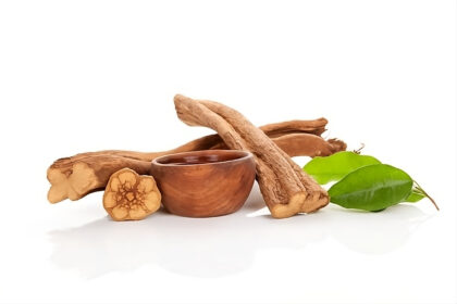 Ayahuasca cuttings and cup