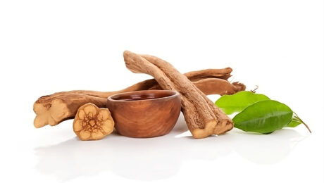 Ayahuasca cuttings and cup