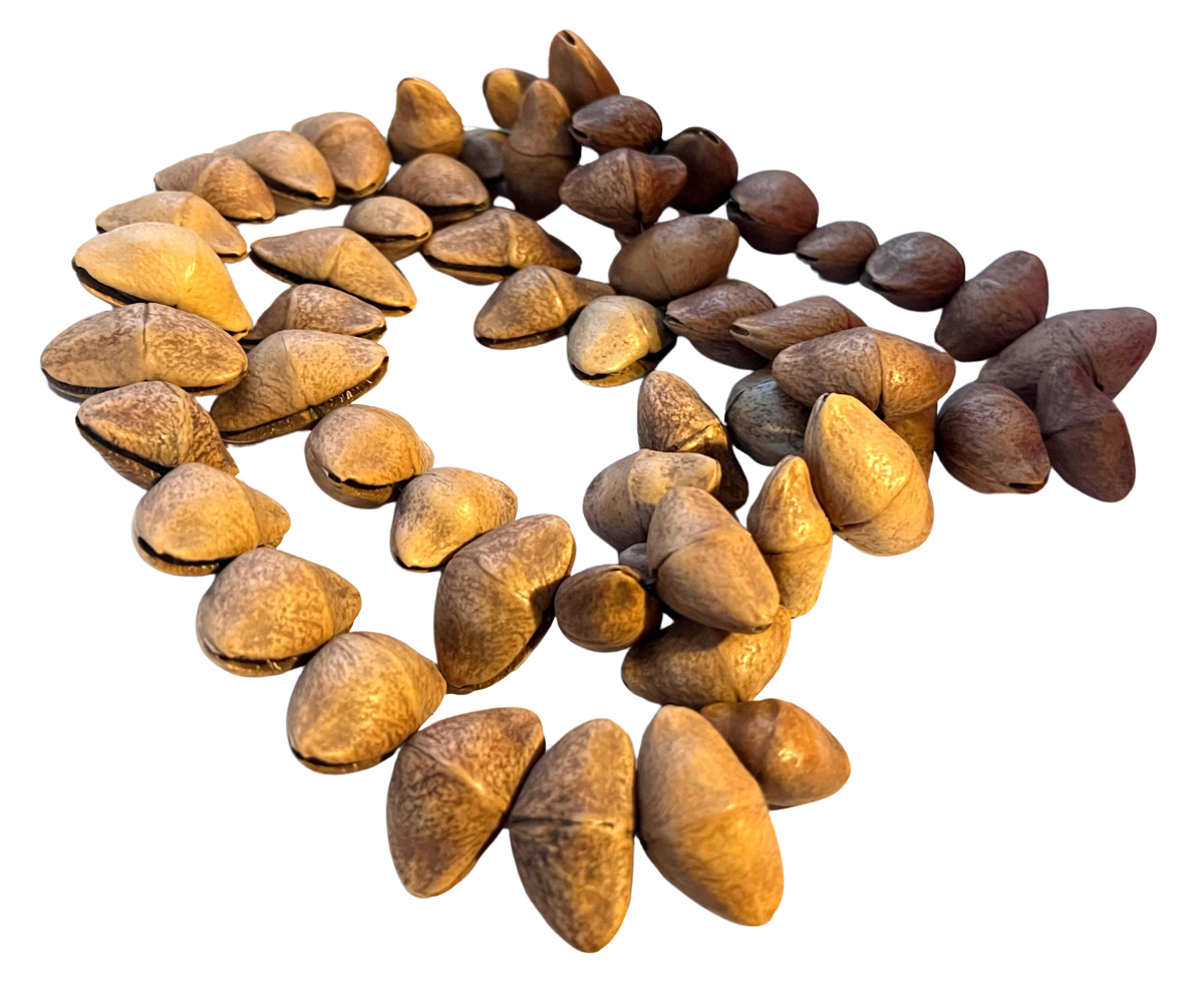 Camalonga